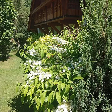 Accommodatie bij particulieren In The Middle Of Nature *
